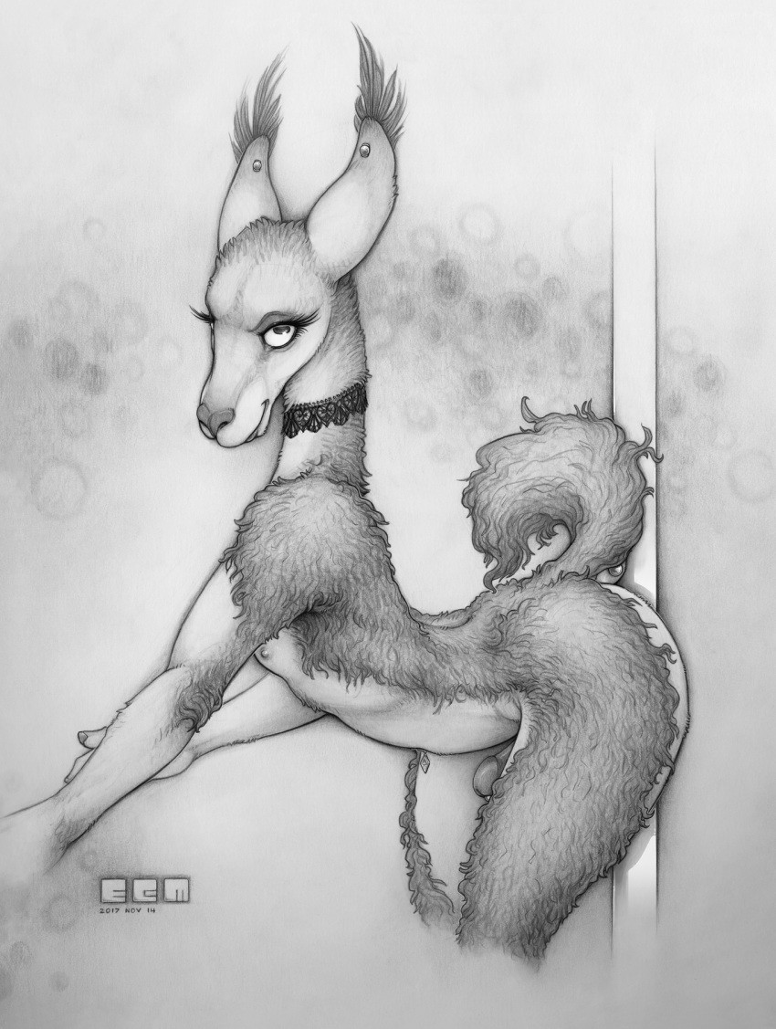 1_boy 1boy 2017 animal_ears anthro camelid choker ear_piercing ecmajor ecmajor_(artist) eyelashes furry furry_male furry_only grin guanaco looking_at_viewer male male_only mammal mammal_humanoid monochrome nipples original original_character original_characters pencil_(artwork) penis pole portrait santiago smile smiling_at_viewer solo_focus solo_male three-quarter_portrait traditional_media_(artwork)