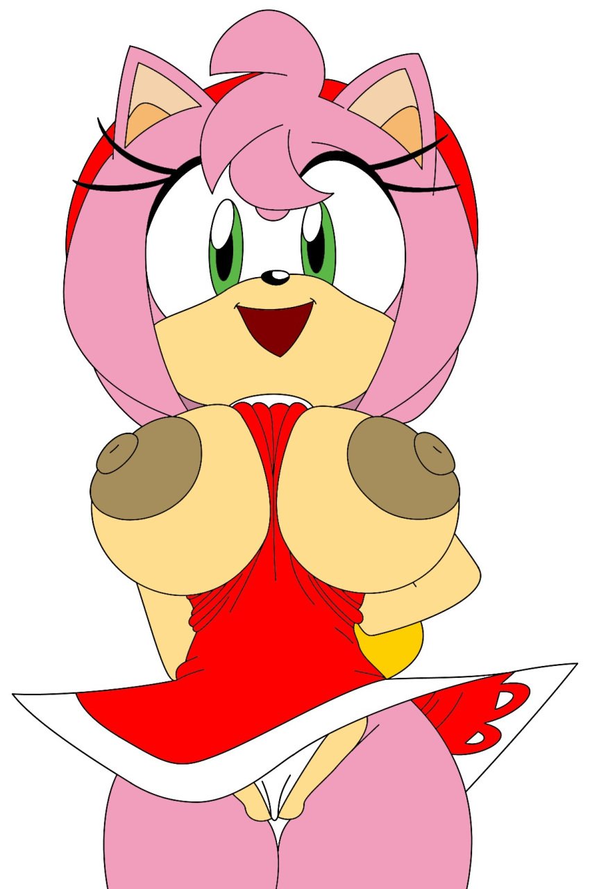 amy_rose big_breasts breasts_out cameltoe clothing dress huge_breasts panties robinebra sega