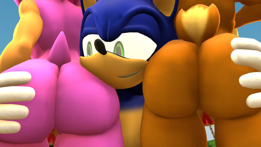 2girls1boy amy_rose ass ass_grab face_near_ass garbage-chan grabbing_ass nude_female puss pussy sally_acorn sega sonic_the_hedgehog sonic_the_hedgehog_(archie) sonic_the_hedgehog_(comics) sonic_the_hedgehog_(series) source_filmmaker