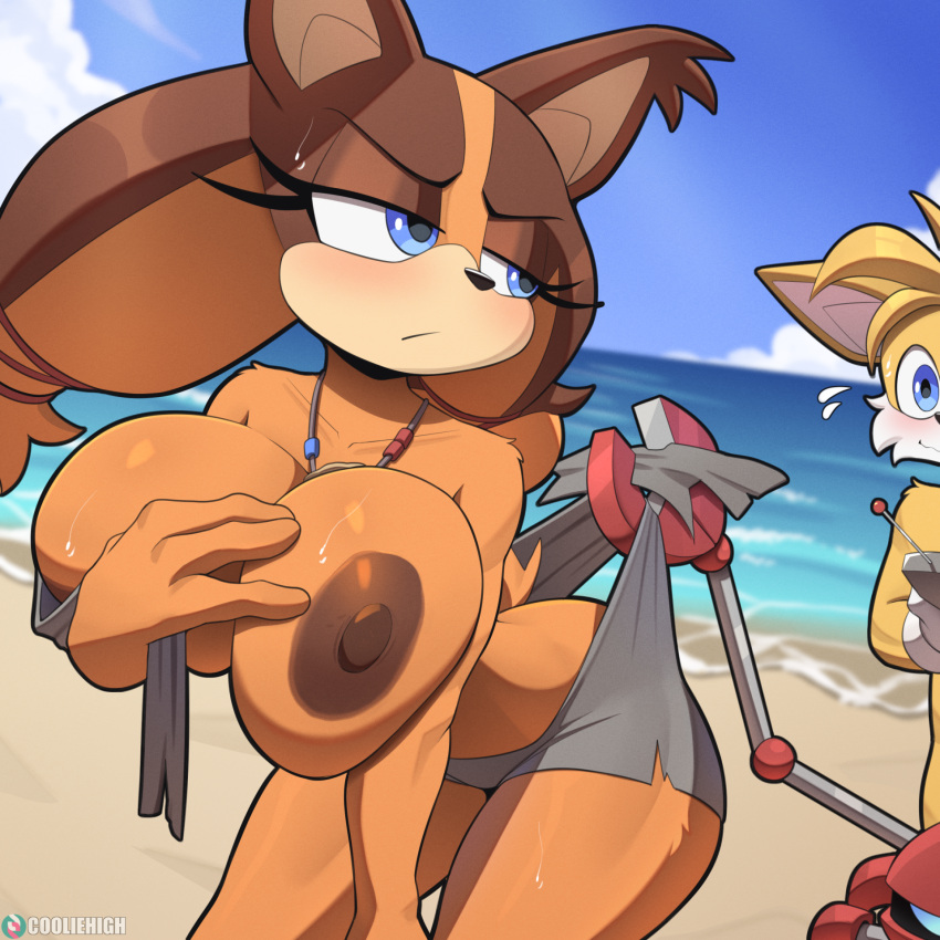 1:1 1boy 1girl 2023 anthro areola badger beach big_breasts biped blue_eyes breasts canid canine cooliehigh female fox fur high_res mammal miles_"tails"_prower mustelid musteline nipples seaside sega sonic_boom sonic_the_hedgehog_(series) sticks_the_jungle_badger yellow_body yellow_fur