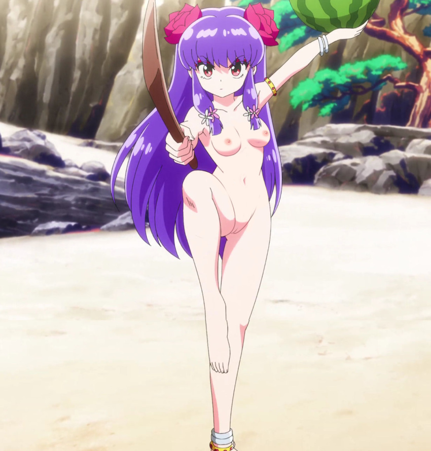 beach edit long_hair looking_at_viewer medium_breasts nekom14 nipples nude one_leg_up purple_hair pussy ranma_1/2 red_eyes screencap shampoo_(ranma_1/2) sword watermelon