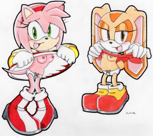 2_girls amy_rose breasts breasts_out cream_the_rabbit dress_lift furry furry_female hedgehog looking_at_viewer nipples panties rabbit sega skirt_lift sonic_the_hedgehog_(series) underwear white_panties