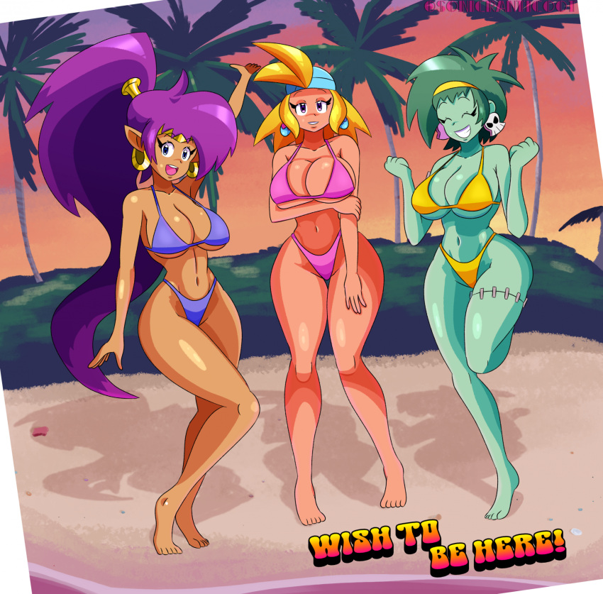 3girls beach big_breasts bikini blonde_hair cute female genie_girl green_hair ponytail purple_hair rottytops sexy shantae shantae_(character) sky_(shantae) sonicranticoot sunset swimsuit wayforward zombie_girl