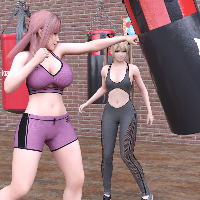 2_girls alluring big_breasts blonde_hair dead_or_alive dead_or_alive_6 dead_or_alive_xtreme dead_or_alive_xtreme_2 dead_or_alive_xtreme_3_fortune dead_or_alive_xtreme_beach_volleyball dead_or_alive_xtreme_venus_vacation gym gym_equipment gym_pants gym_shorts honoka honoka_(doa) marie_rose pink_hair punching_bag small_breasts sports_bra tecmo workout_clothes