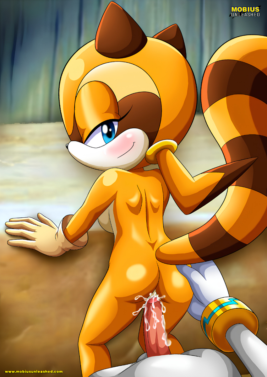 1boy 1girl anthro ass balls bbmbbf blue_eyes blush breasts cum cum_in_pussy cum_inside first_person_view furry furry_female marine_the_raccoon mobius_unleashed naughty_face nude palcomix penis pussy seductive_look sega sex sex_from_behind silver_the_hedgehog sonic sonic_the_hedgehog_(series) tail vaginal_penetration vaginal_sex